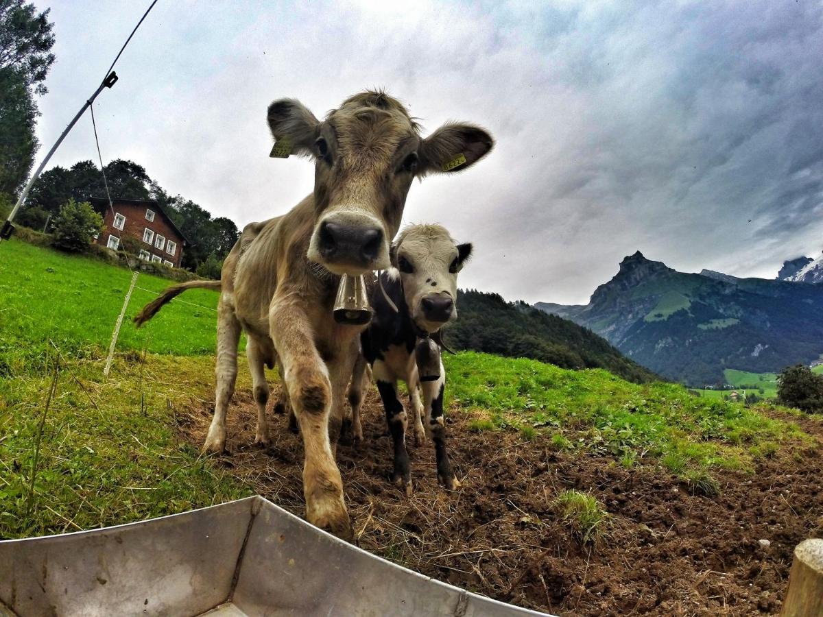 Hostel Engelberg "Mein Trail Hostel" Exteriér fotografie