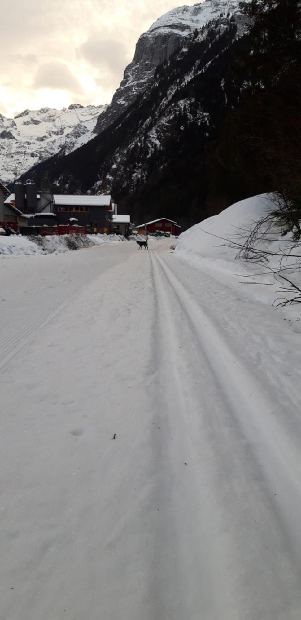 Hostel Engelberg "Mein Trail Hostel" Exteriér fotografie